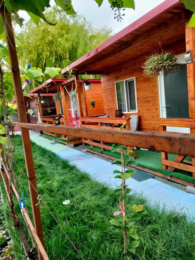 Casuta De La Mare Camping